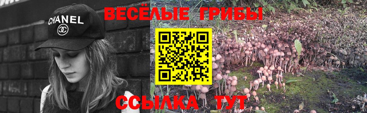 Псилоцибиновые грибы MAGIC MUSHROOMS  Вход с VPN  продажа наркотиков  Усть-Джегута 