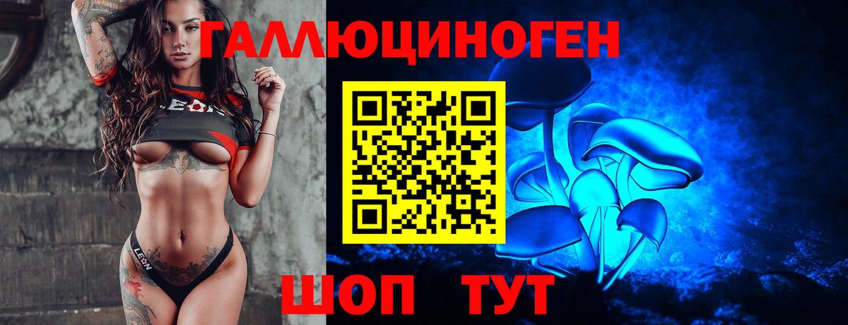 Галлюциногенные грибы мухоморы Усть-Джегута